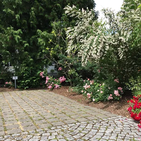 Ferienresidenz Seegarten Andrea - Seezugang Und Schwimmbad Bodman-Ludwigshafen